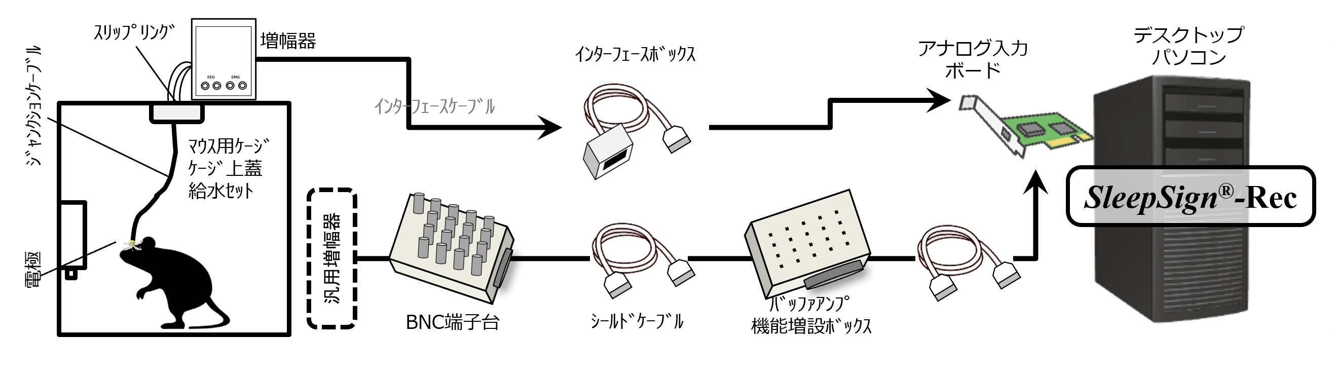 staging_image